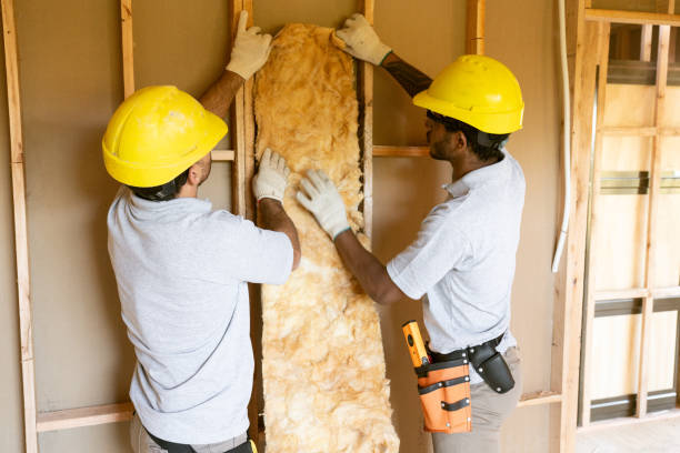 Best Professional Insulation Contractor  in Kdeer, IL