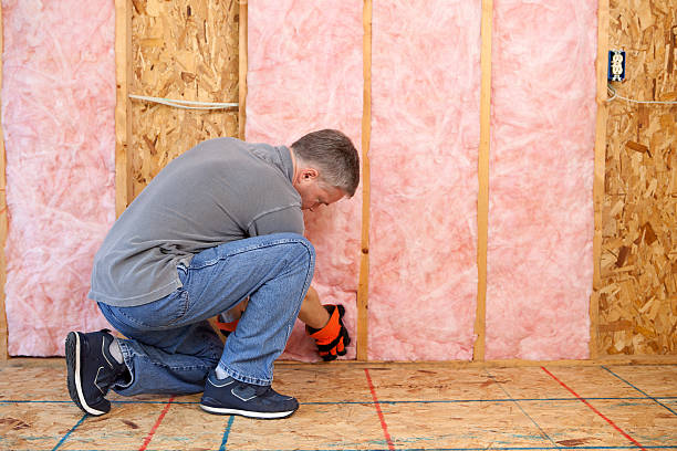 Best Insulation Repair Services  in Kdeer, IL